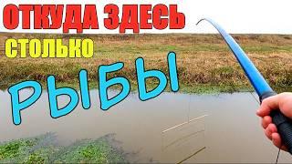 Вот это попёрло!!! Я такого не ожидал!!! Рыбалка на экраны.