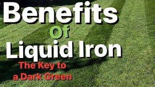 Benefits of Liquid Iron #iron #lawn #lawncare