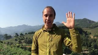 Чай и алкоголизм. Проект RealChinaTea.ru