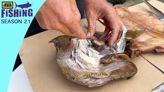 Finding, Catching, Cleaning, And Smoking Deep-Sea Fish