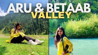 ARU & BETAAB VALLEY Day Trip in Pahalgam | Places to Visit in Pahalgam | How to reach Aru & Betaab?