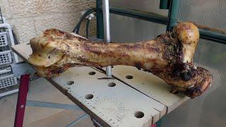 Preparing bone for carving Подготовка кости для резьбы