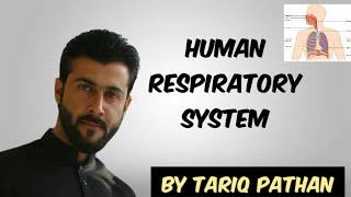 Class 12 - Chapter 1 - Human Respiratory System by Tariq Pathan