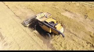 Combine Harvest