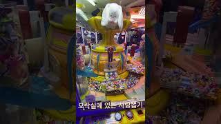 #candy 오락실에 있는 인형뽑기