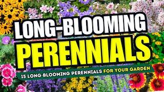  ENDLESS BLOOMS! 15 Long BLOOMING Perennials to Keep Your Garden VIBRANT! 