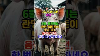 “6월 돼지띠 운세“ #미미의운정비서 #띠별운세 #운세숏츠 #운세채널 #금전운 #운세 #재물운 #6월운세 #shorts