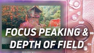 Understanding Depth of Field and Bokeh using Focus Peaking