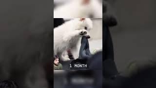 The Extinct ANIMAL came back!!