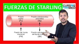 FUERZAS DE STARLING Y EDEMA explicado FÁCIL .