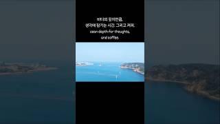 나의 바다뷰 아지트, 완벽한 순간 기록 / My Ocean View Spot #타니베이#여유 #힐링 #감성 #바다뷰 #오션뷰 #카페 #커피 #일산 #Oceanview #Cafe
