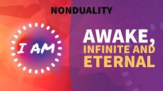 I am: awake, infinite and eternal | clip from the #nonduality podcast