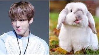 JK = Bunny ?