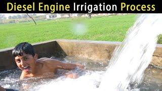 TubeWell | Diesel Engine Irrigation Process in Village | Agriculture in Punjab Pakistan / India