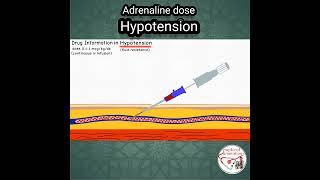 ADRENALINE (Epinephrine) DOSE in HYPOTENSION #pediatrics #medicine #epinephrine