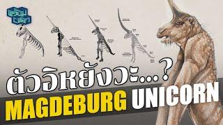 ประวัติ Magdeburg unicorn : ฟอสซิลที่อีหยังวะที่สุดในโลก