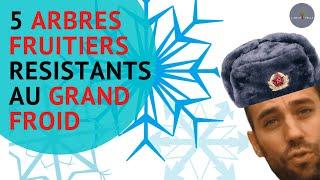 5 Arbres FRUITIERS résistants au grand FROID !