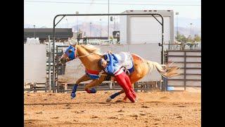 River- Stunt Horses and More- Equestrian Music Video