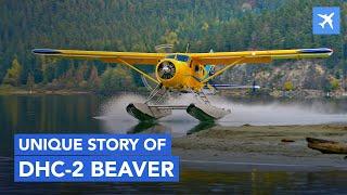 How DHC-2 Beaver Saved Alaska?