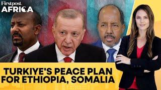 Turkey Plans to Meet Somalia, Ethiopia Separately Before New Mediation Talks | Firstpost Africa