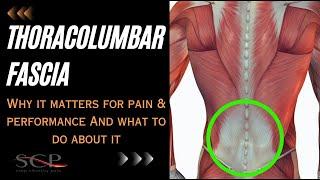 Thoracolumbar Fascia Webinar (Why It Matters For Pain/Performance And What To Do About It)