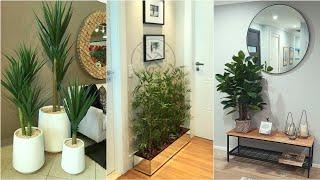 Modern Indoor plants Decoration Ideas 2024 Living Room Design Trends Home Interior Decorating Ideas