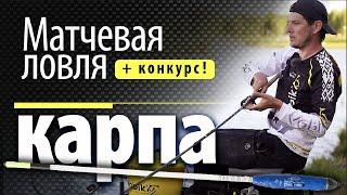 МАТЧЕВАЯ ЛОВЛЯ КАРПА на фиксированный вагглер для начинающих