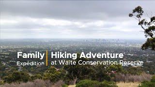 Family Expedition: Hiking Adventure at Waite Conservation Reserve