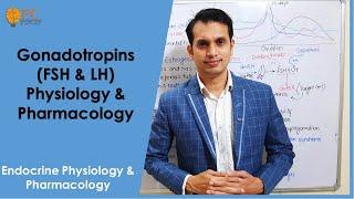 Endocrine Hormones (part 7): Gonadotropins Hormones (FSH & LH) Physiology & Pharmacology