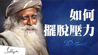 如何擺脫壓力，選擇自己想要的人生 ｜Sadhguru（薩古魯）