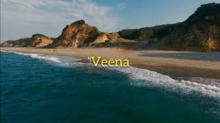 #DJVBmusic #Veena #newtelugusong2020   DJVB - Veena