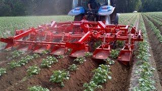 GRIMME GH 6 Eco | Ridging Hiller