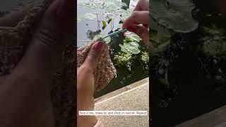 Crochet in nature | #shortsvideo | #short | #shorts | #shortvideo # | crochet new stitch