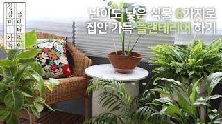 초보에게 추천하는 키우기 쉬운 반려식물 6가지와 플랜테리어 | 식물 인테리어로 우리집을 카페처럼 꾸미기 | 공기정화 식물 | 실내에서 키우기 적당한 식물추천 |