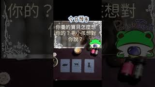 今日預告19:00公開 你養的寶貝怎麼想你的？可愛的毛小孩有什麼想說？ #塔羅 #塔羅占卜