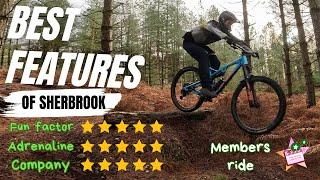 The Best Drops and Jumps of Cannock Chase off piste trails