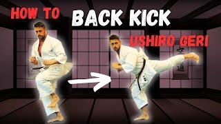 How to BACK KICK - Ushiro Geri