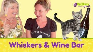 Awesome Visit at Whiskers And Wine Bar in San Diego