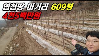 연천땅 마거리 전 4천5백만원 전기 도로 완벽  연천토지 609평 연천부동산 운정부동산 파주땅 포천땅