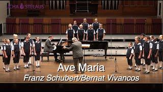 Ave Maria (Schubert/Vivancos)