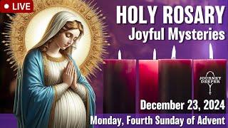  Rosary Monday Joyful Mysteries of the Rosary December 23, 2024 Praying together