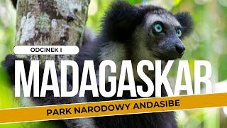 MADAGASKAR  Park Narodowy Andasibe 