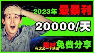 【2023年最新网赚方法】2023副业 2023赚钱技巧 超靠谱 赚钱项目 挣钱项目 被动收入 网上创业 被动收入 零门槛 躺赚项目  睡后收入 youtube网络赚钱 网赚方法2023