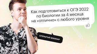 Как подготовиться к ОГЭ 2022 по биологии за 4 месяцев на "отлично" с любого уровня?