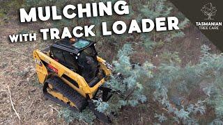 Tasmanian Tree Care - Caterpillar 239D3 Compact Track Loader