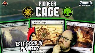 Collector's Cage isn't just for Standard... | MTG Tarkir Arena Pioneer