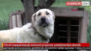 Orhan yalcınkaya kangalları