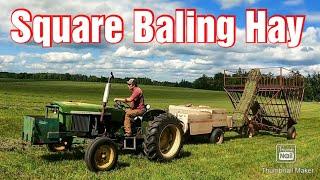 Square Baling 2nd Crop Hay/Milking Cows