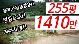 경치 좋은 농막용 토지255평 1400초반 공매 물건 임장영상(바로 앞 저수지)