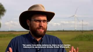 W zgodzie z przyrodą